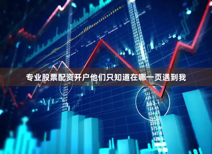 专业股票配资开户他们只知道在哪一页遇到我