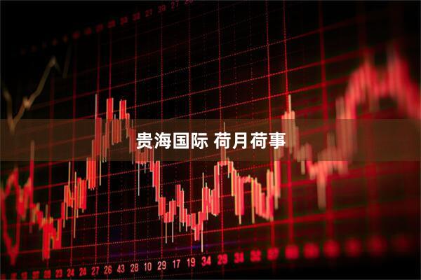 贵海国际 荷月荷事