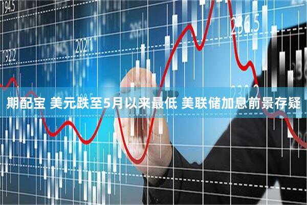 期配宝 美元跌至5月以来最低 美联储加息前景存疑